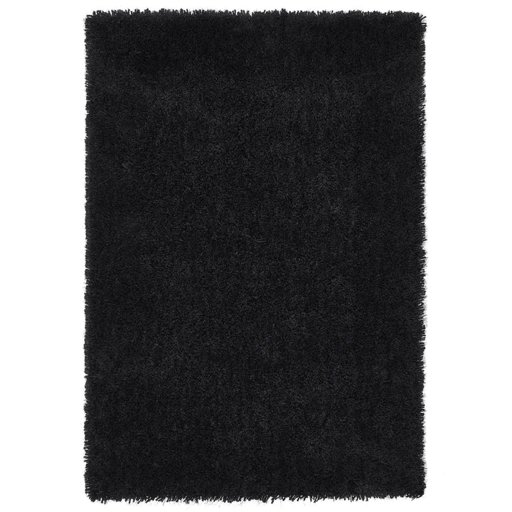 https://cdn.shopify.com/s/files/1/0881/7731/2093/files/Chicago-Black-Rug-Overhead.jpg?v=1756914842