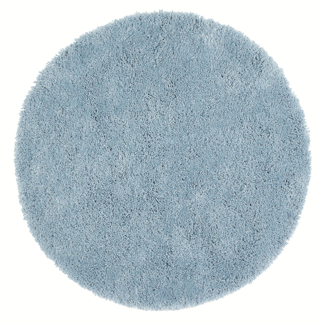 https://cdn.shopify.com/s/files/1/0881/7731/2093/files/Chicago-Duck-Egg-Blue-Circle-Overhead.jpg?v=1761573113