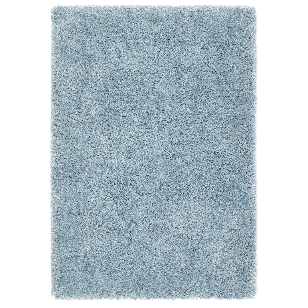 https://cdn.shopify.com/s/files/1/0881/7731/2093/files/Chicago-Duck-Egg-Blue-Rug-Overhead.jpg?v=1756976075