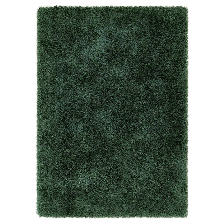 https://cdn.shopify.com/s/files/1/0881/7731/2093/files/Chicago-Forest-Green-Rug-Overhead.jpg?v=1756915294