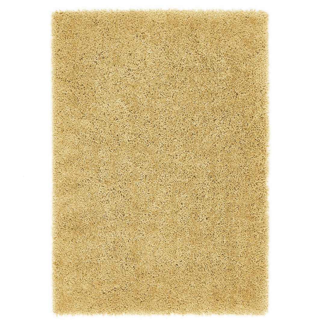 https://cdn.shopify.com/s/files/1/0881/7731/2093/files/Chicago-Ochre-Rug-Overhead.jpg?v=1756915111