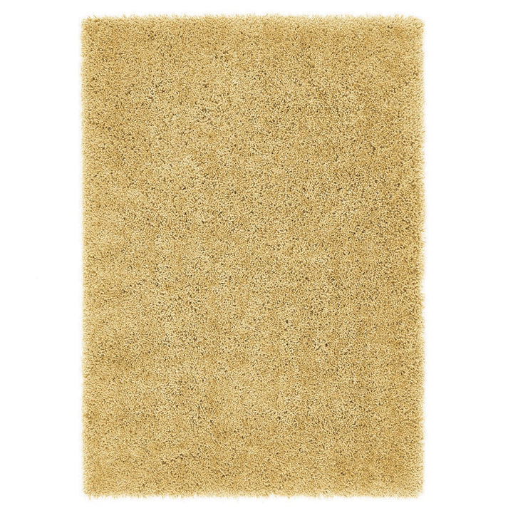 https://cdn.shopify.com/s/files/1/0881/7731/2093/files/Chicago-Ochre-Rug-Overhead.jpg?v=1756915111