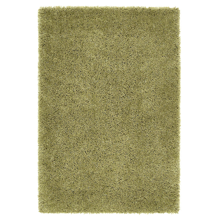 https://cdn.shopify.com/s/files/1/0881/7731/2093/files/Chicago-Olive-Rug-Overhead.jpg?v=1756914786