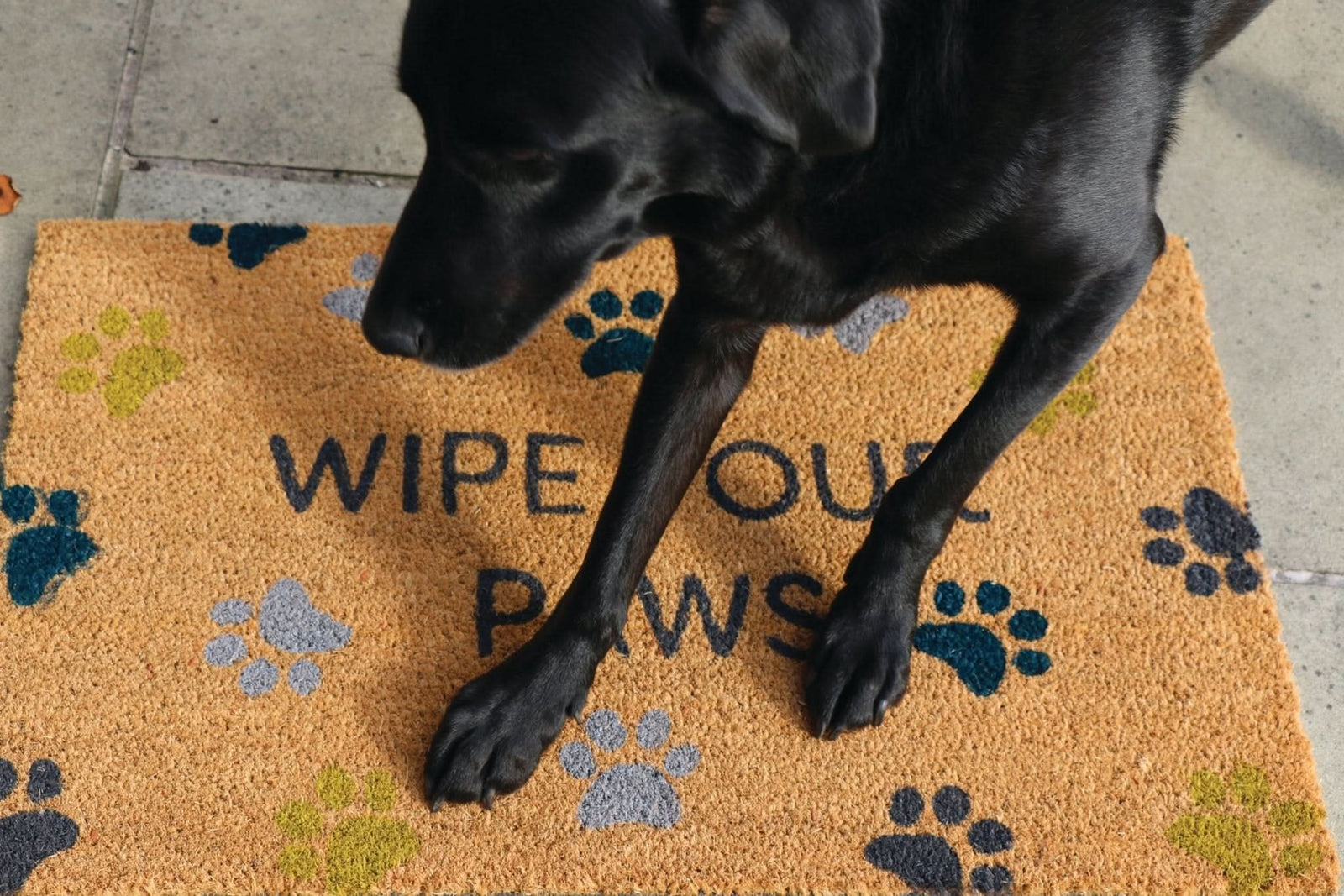 My Mat Wipe Your Paws Coir Doormat Natural 45x75cm - beUNIQ - coir doormat - Created by Product Upload