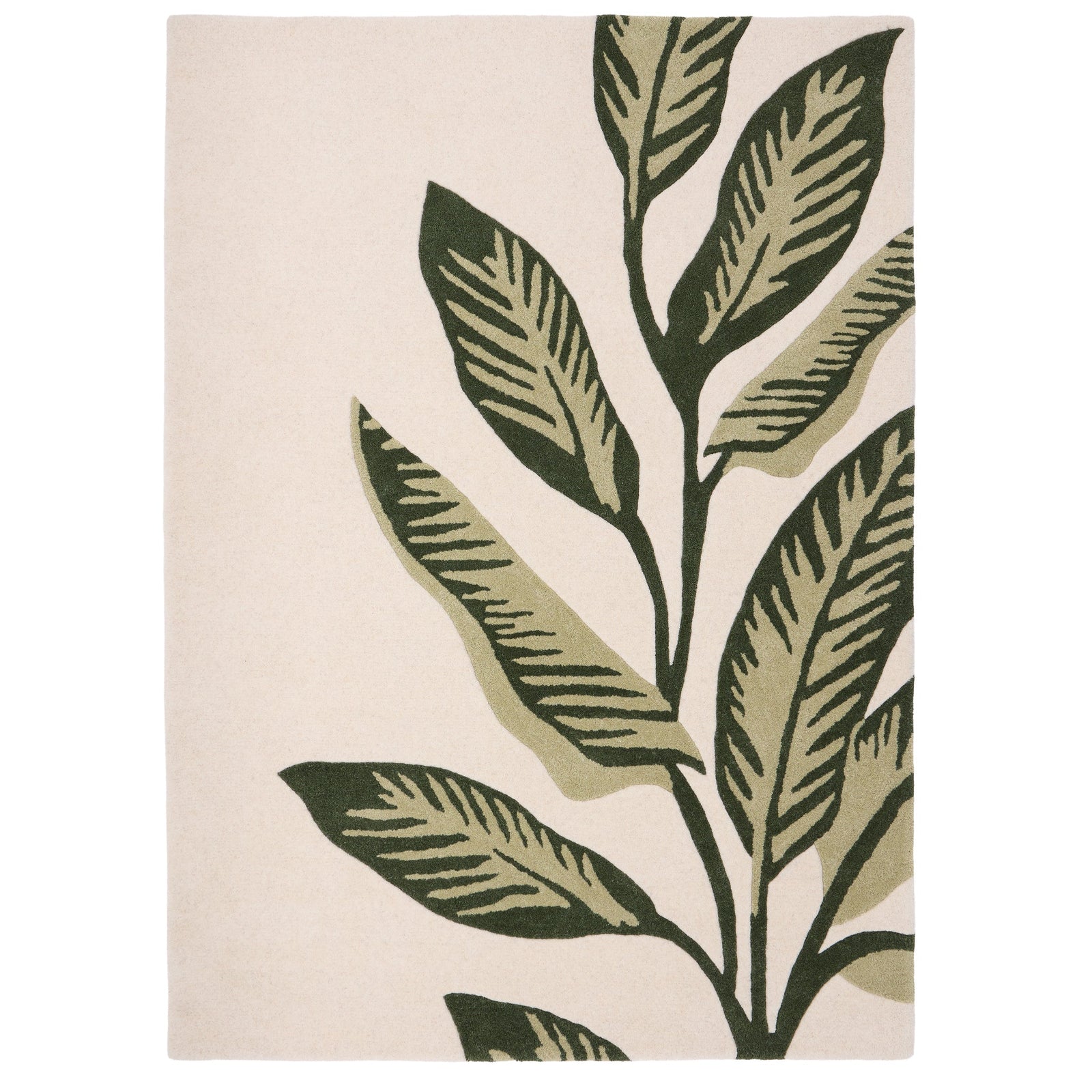 https://cdn.shopify.com/s/files/1/0881/7731/2093/files/Paradise-Leaf-Overhead-120x170.jpg?v=1751977385