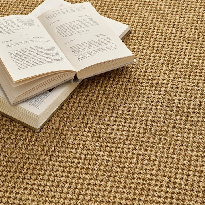 https://cdn.shopify.com/s/files/1/0881/7731/2093/files/Sisal-Light-Neutral-Dark-Brown-Border-Detail_01.jpg?v=1768317482