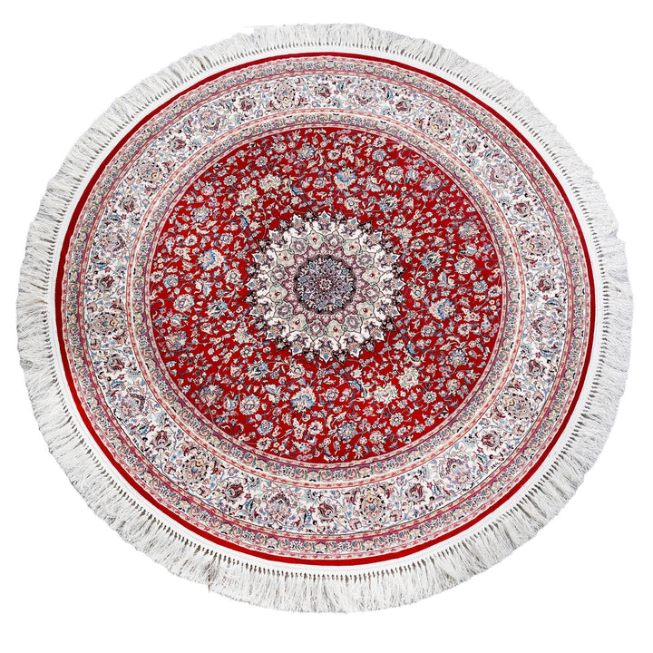 Oriental Area Rug - Highest Quality for Living Room &amp; Bedroom | Large &amp; Small Sizes | Affordable, Elegant &amp; Durable | VI015