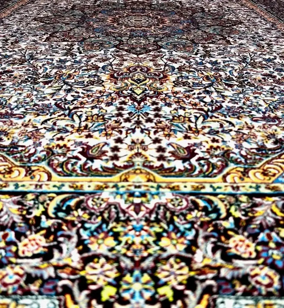 Ottoman Oriental Area Rug in Black and Cream – photo 4 of 4